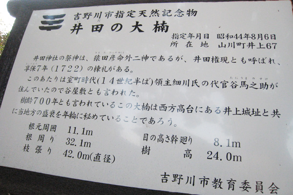 井田の大グス看板